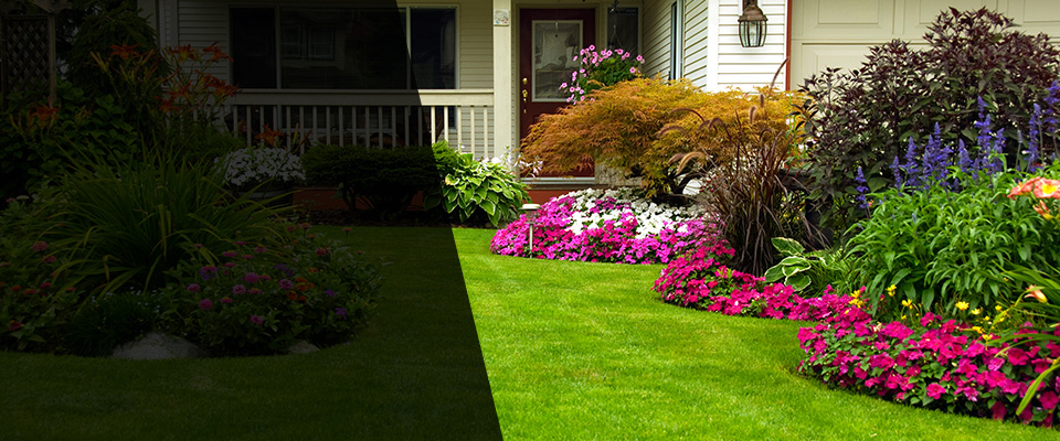 Leon Landscapers