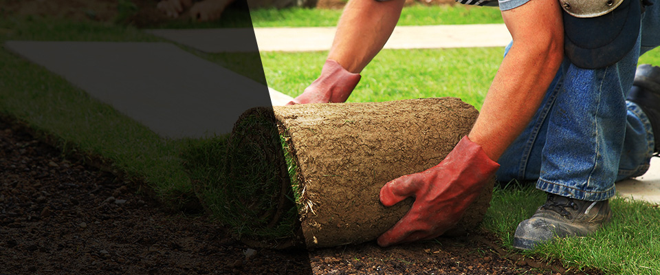Leon Landscapers